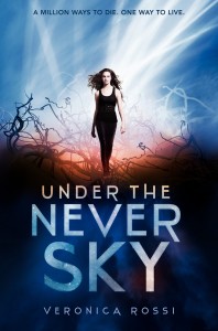 under-the-never-sky